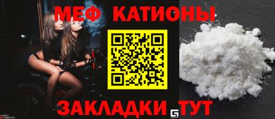 шишки Дубна