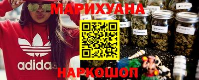 шишки Дубна