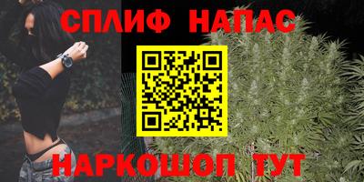 шишки Дубна