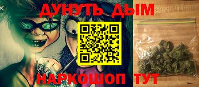 шишки Дубна