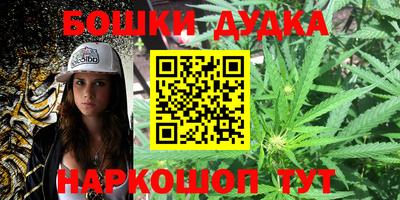 шишки Дубна