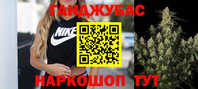 шишки Дубна