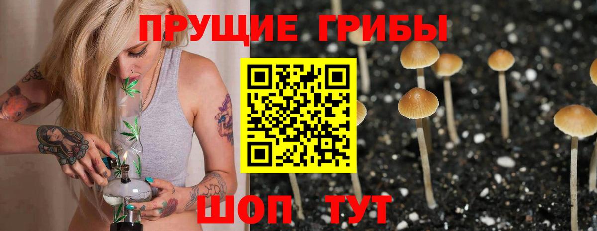 Псилоцибиновые грибы прущие грибы  Псилоцибиновые грибы Magic Shrooms  Кулебаки  Вход с VPN 